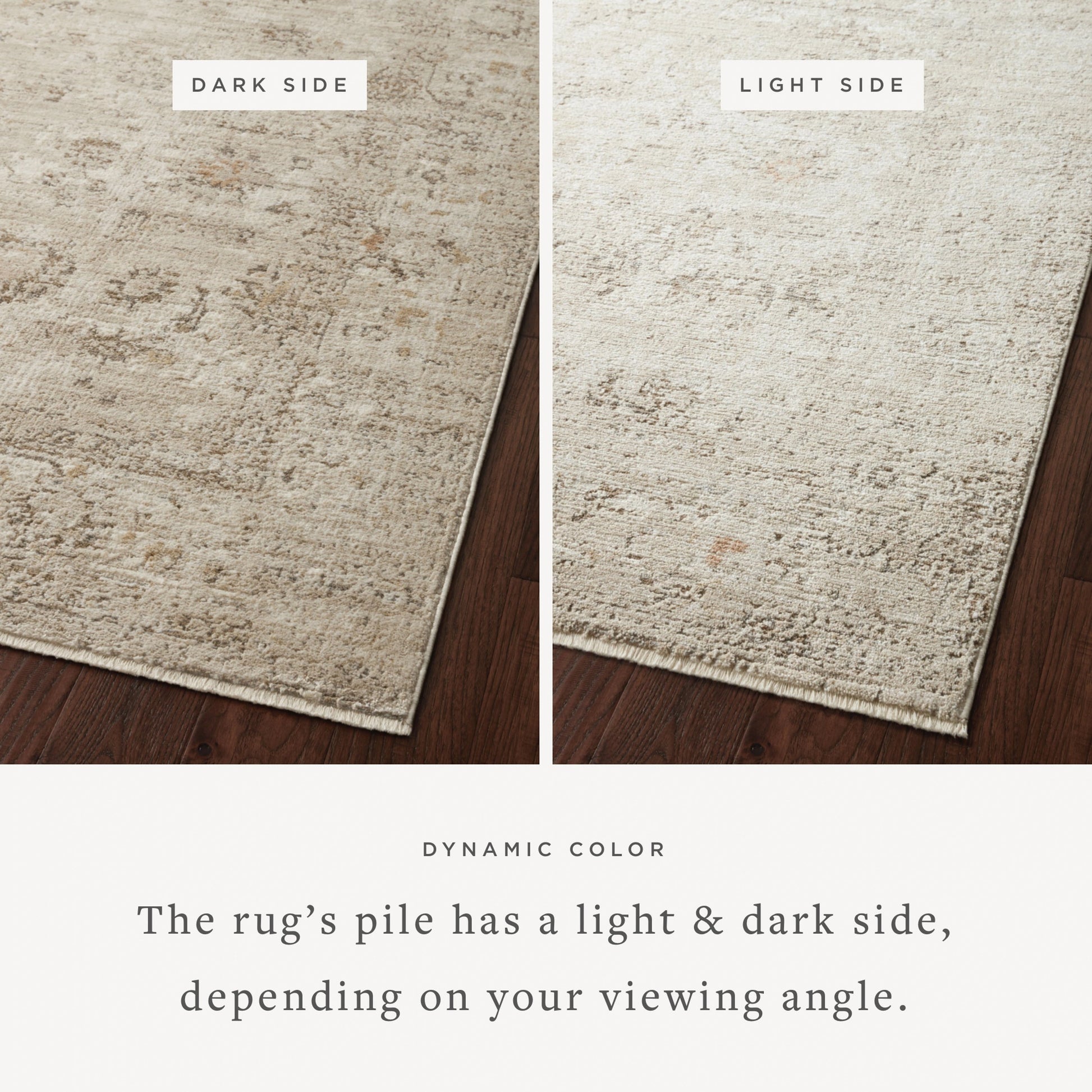 Sonnet SNN-01 Rug by Loloi in sand, taupe. Made from polypropylene / polyester in a unique style.
