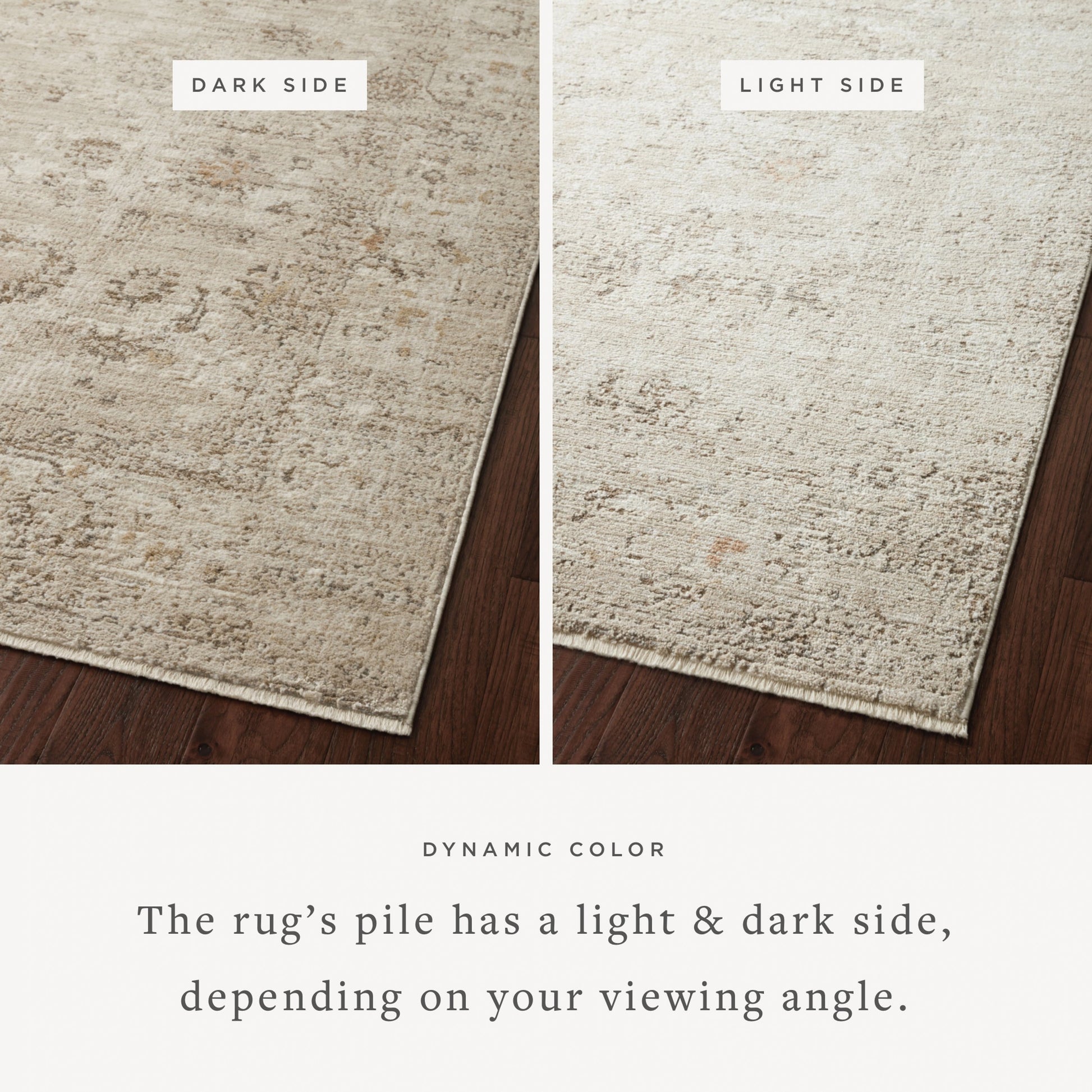 Sonnet SNN-01 Rug by Loloi in sand, taupe. Made from polypropylene / polyester in a unique style.