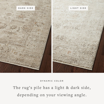 Sonnet SNN-01 Rug by Loloi in sand, taupe. Made from polypropylene / polyester in a unique style.