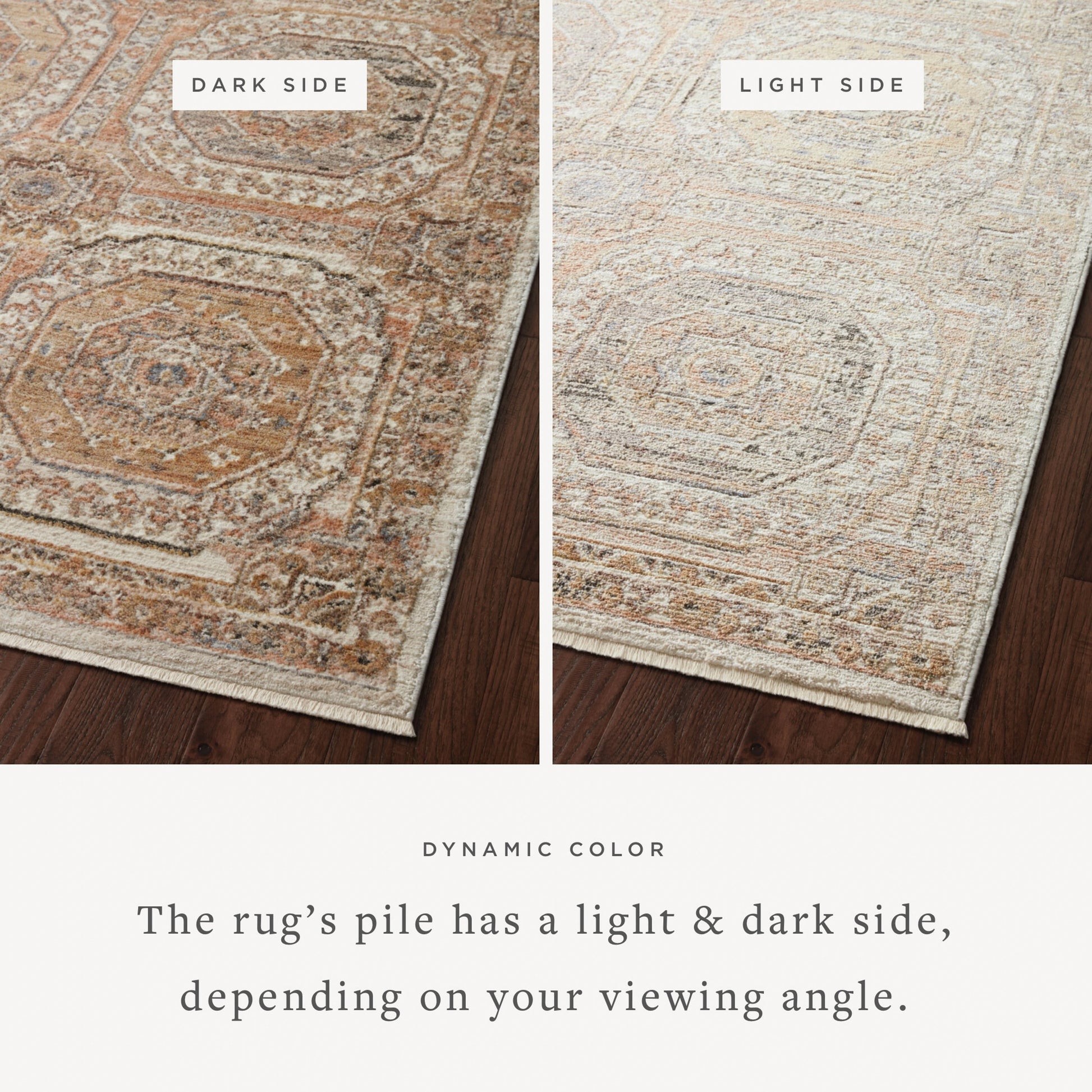 Sonnet SNN-06 Rug by Loloi in apricot, multi. Made from polypropylene / polyester in a unique style.