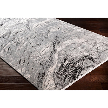 Solar Rug - 25676 by Surya in gray, light gray, charcoal, black. Made from 70% viscose, 30% acrylic in a unique style.