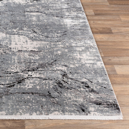 Solar Rug - 25676 by Surya in gray, light gray, charcoal, black. Made from 70% viscose, 30% acrylic in a unique style.
