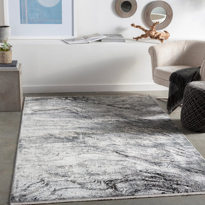Solar Rug - 25676 by Surya in gray, light gray, charcoal, black. Made from 70% viscose, 30% acrylic in a unique style.