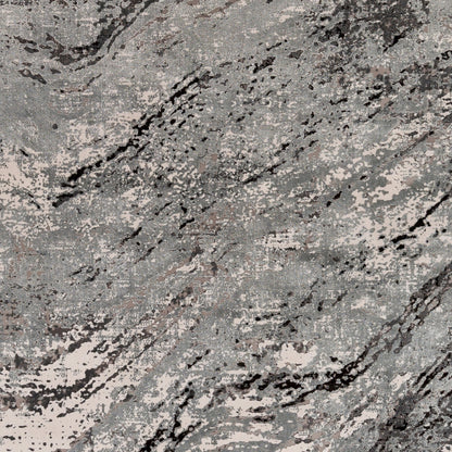 Solar Rug - 25676 by Surya in gray, light gray, charcoal, black. Made from 70% viscose, 30% acrylic in a unique style.