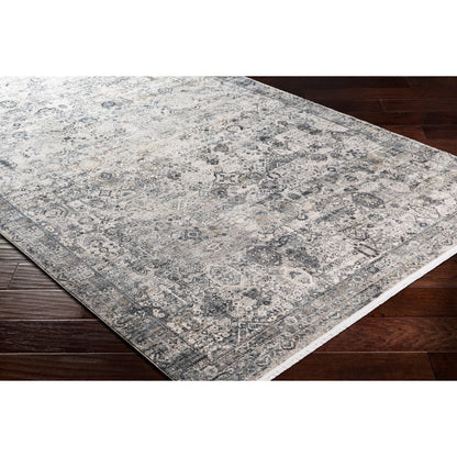 Solar Rug - 25679 by Surya. Made from 70% viscose, 30% acrylic in a unique style.