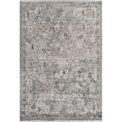 Solar Rug - 25679 by Surya. Made from 70% viscose, 30% acrylic in a unique style.