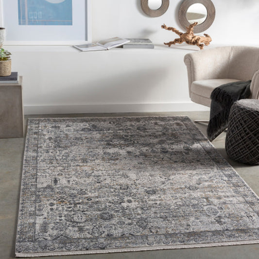 Solar Rug - 25679 by Surya. Made from 70% viscose, 30% acrylic in a unique style.