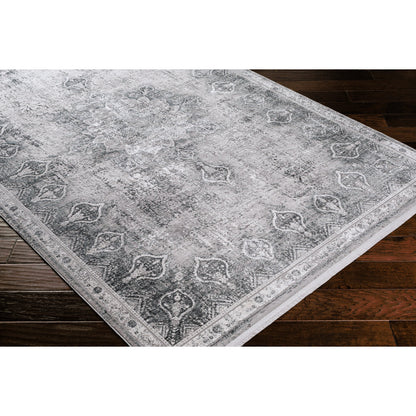 Solar Rug - 26137 by Surya in gray, light gray, light beige, light slate, black. Made from 70% viscose, 30% acrylic in a unique style.