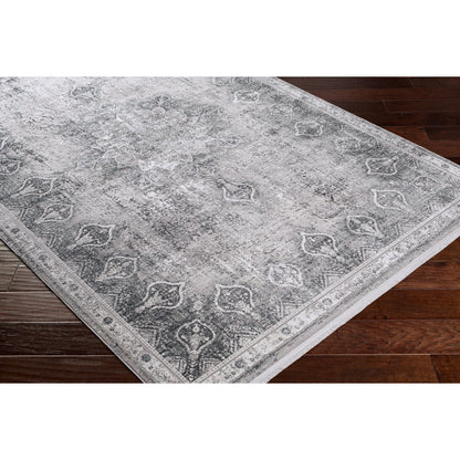 Solar Rug - 26137 by Surya in gray, light gray, light beige, light slate, black. Made from 70% viscose, 30% acrylic in a unique style.