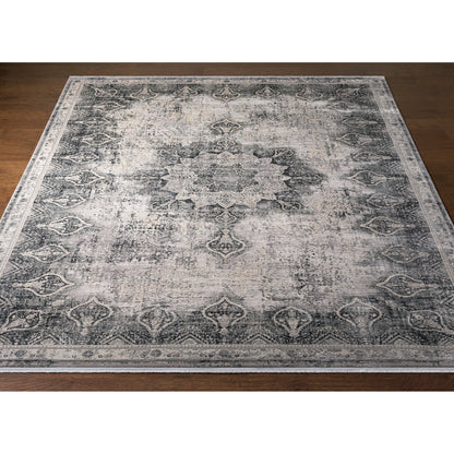 Solar Rug - 26137 by Surya in gray, light gray, light beige, light slate, black. Made from 70% viscose, 30% acrylic in a unique style.