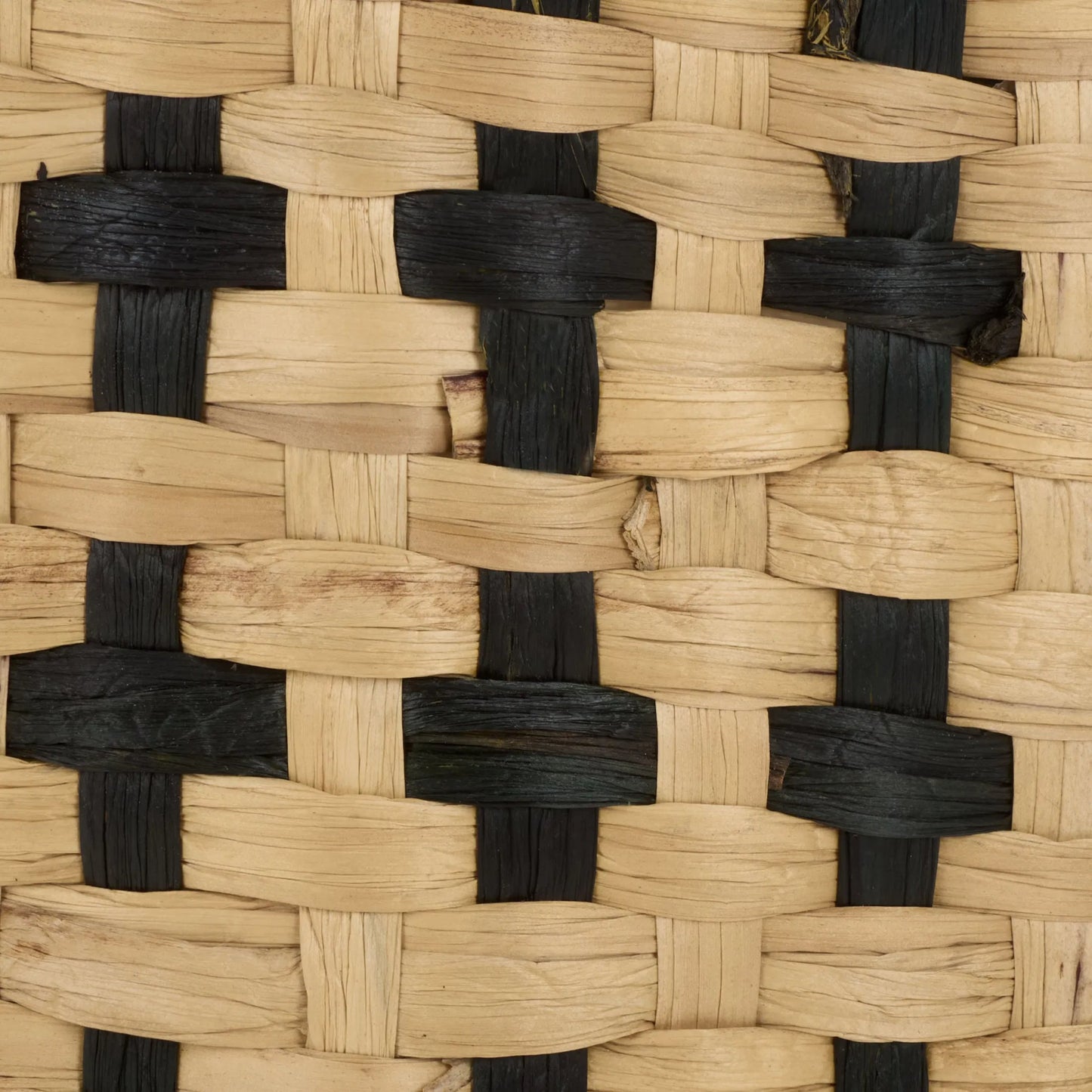 008 SI-2630231 | Closeup | Trego Baskets (Set of 2) by HedgeApple Essentials in natural, black. Made from metal in a unique style.