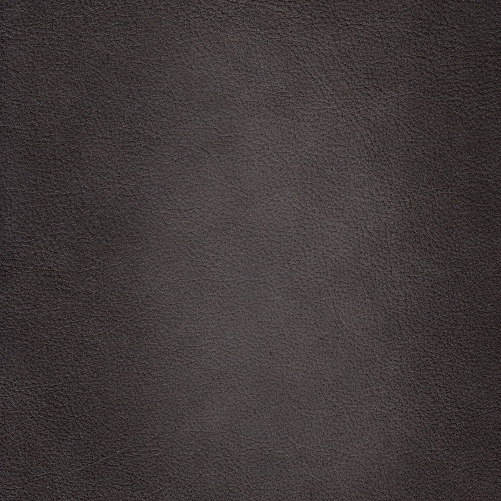 Belfast Sofa by Hydeline in ash gray. Made from leather in a transitional style.