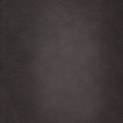 Belfast Sofa by Hydeline in ash gray. Made from leather in a transitional style.