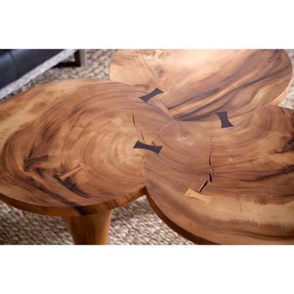 Butterfly Coffee Table by Phillips Collection. Made from unique in a modern style.