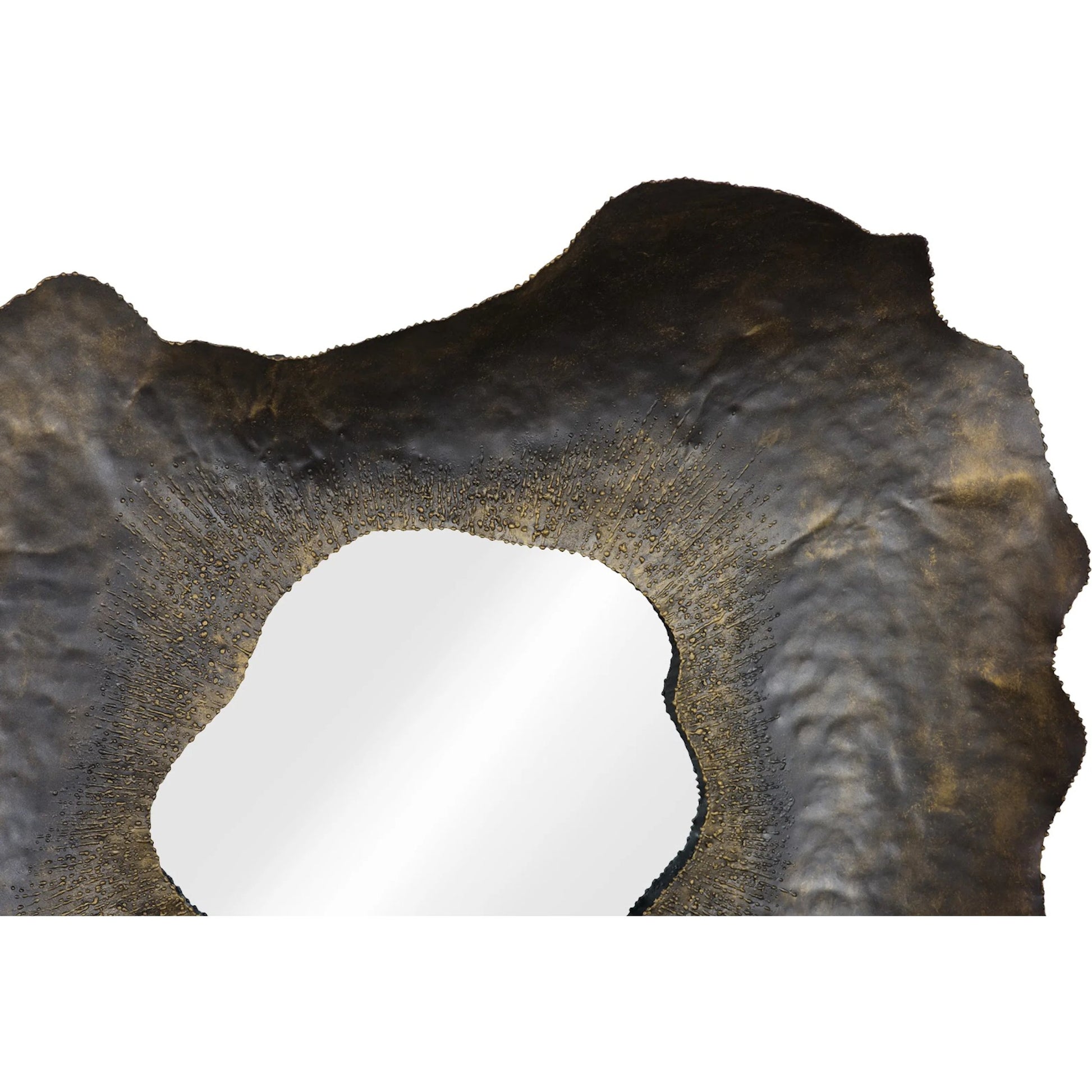 Bloom Mirror by Phillips Collection in black, silver. Made from metal in a unique style.