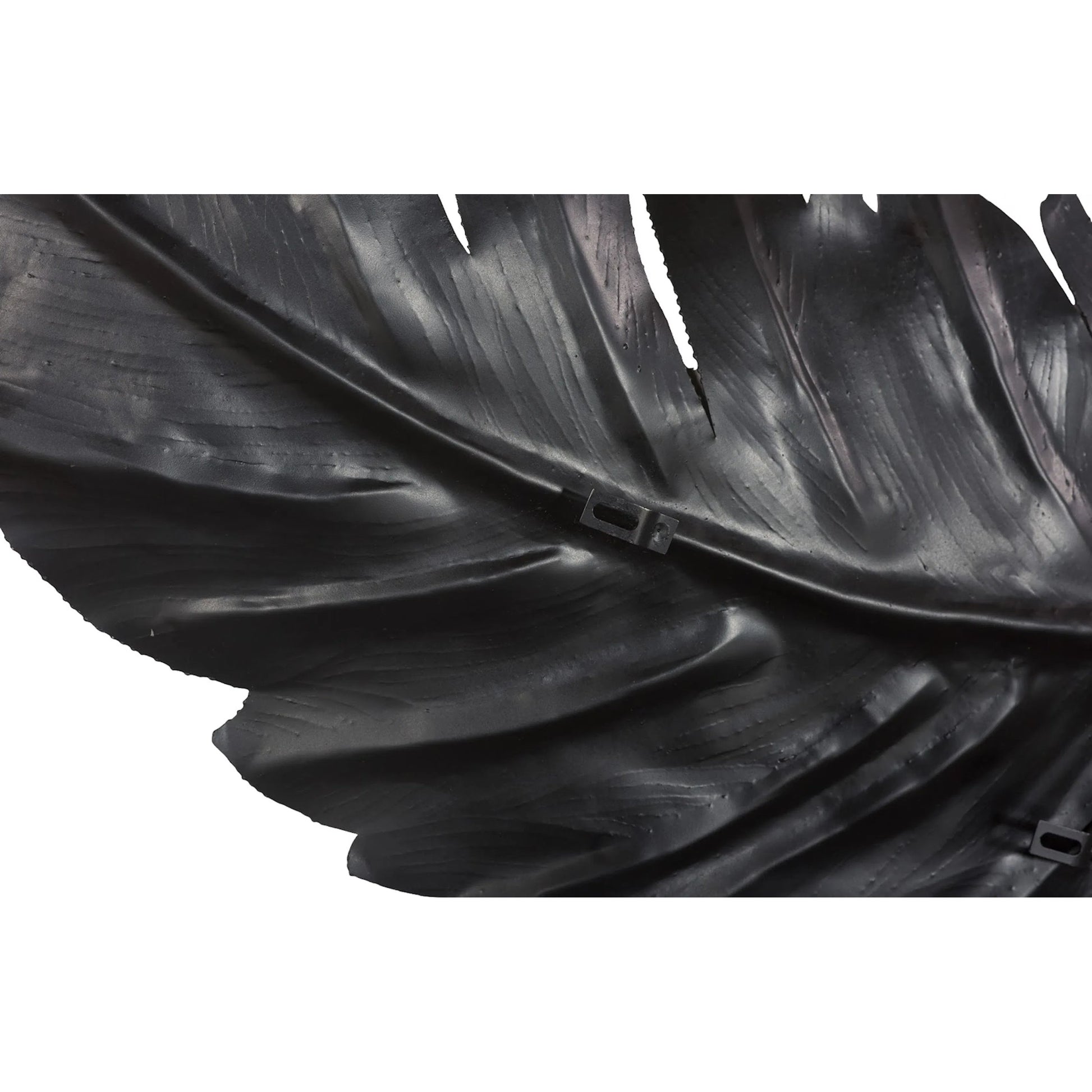 Feather Wall Decor by Phillips Collection in black and powder coat. Made from metal in a unique style.