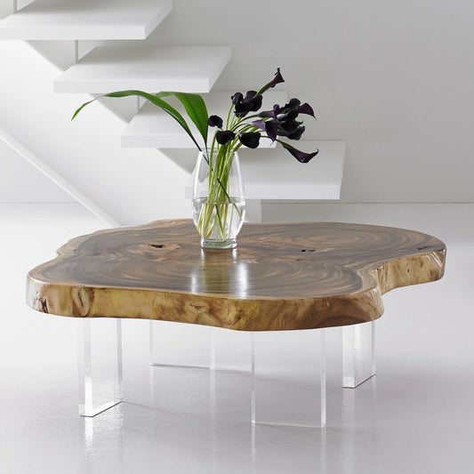 Floating Large Natural Coffee Table by Phillips Collection in brown. Made from wood, chamcha wood acrylic in a modern style.