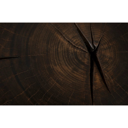 Black Wood Stool I by Phillips Collection in brown. Made from wood in a rustic style.