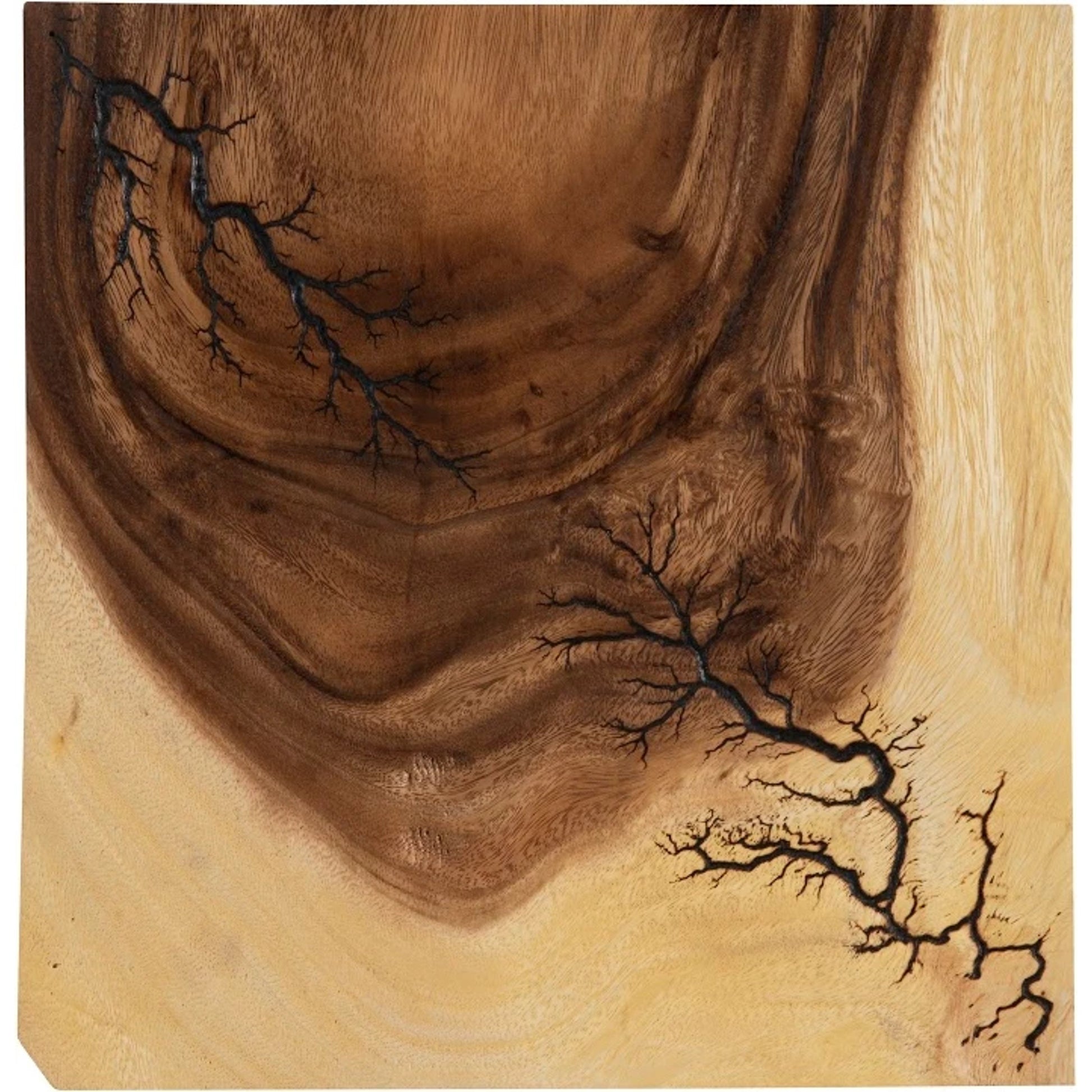 Lightning Wall Tile by Phillips Collection in brown. Made from wood, chamcha wood in a transitional style.