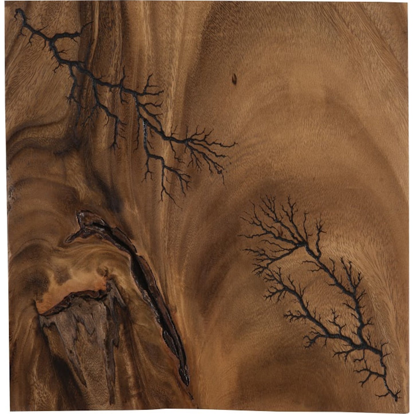 000 SI-1786358 | Primary Silo | Lightning Wall Tile by Phillips Collection in brown. Made from wood, chamcha wood in a transitional style.