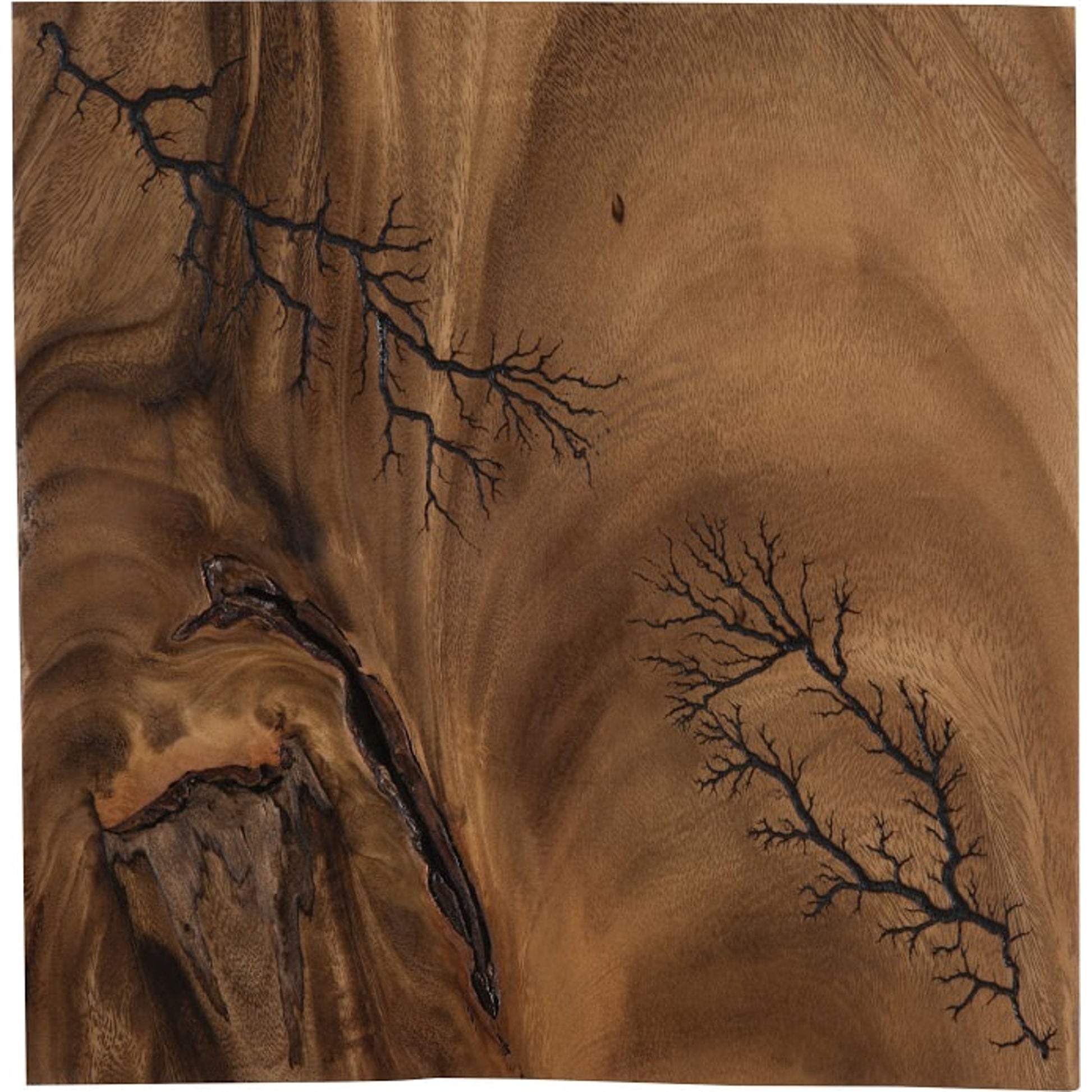 Lightning Wall Tile by Phillips Collection in brown. Made from wood, chamcha wood in a transitional style.