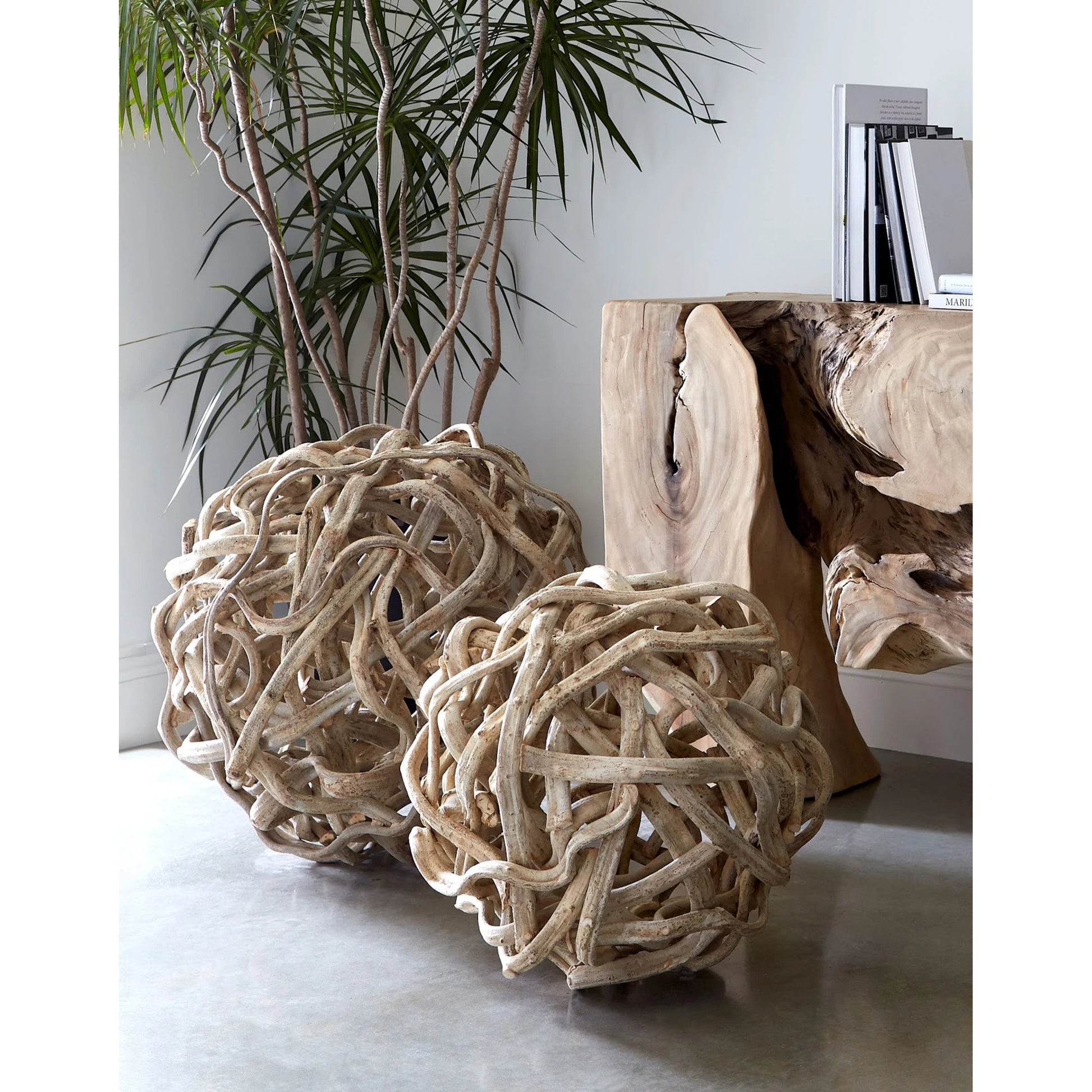 Vine Ball by Phillips Collection in natural. Made from wood in a coastal style.