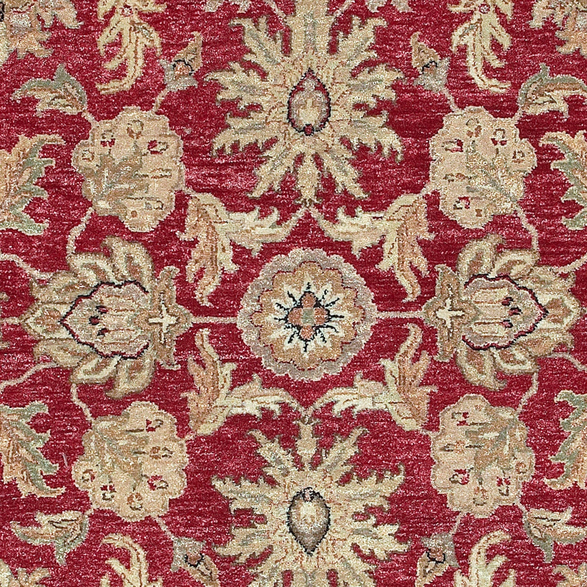 Timeless Rug - 157 by Surya. Made from 100% new zealand hard twist wool in a unique style.