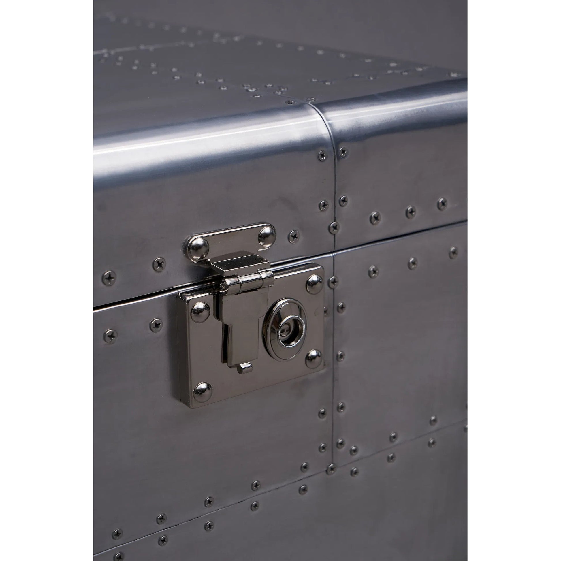 Elias Trunk by Zentique in aluminum and silver. Made from aluminum in a unique style.