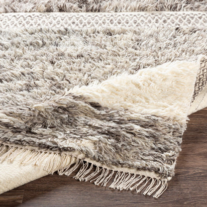 Tulum TMU-2302 Rug by Livabliss in beige, gray, taupe, dark brown. Made from 100% new zealand wool in a unique style.