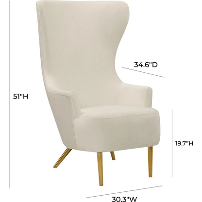 Julia Wingback Chair by TOV Furniture. Made from velvet in a modern style.