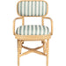 Dorine Striped Performance Linen Dining Armchair by TOV Furniture. Made from fabric, rattan in a unique style.