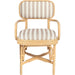 Dorine Striped Performance Linen Dining Armchair by TOV Furniture. Made from fabric, rattan in a unique style.