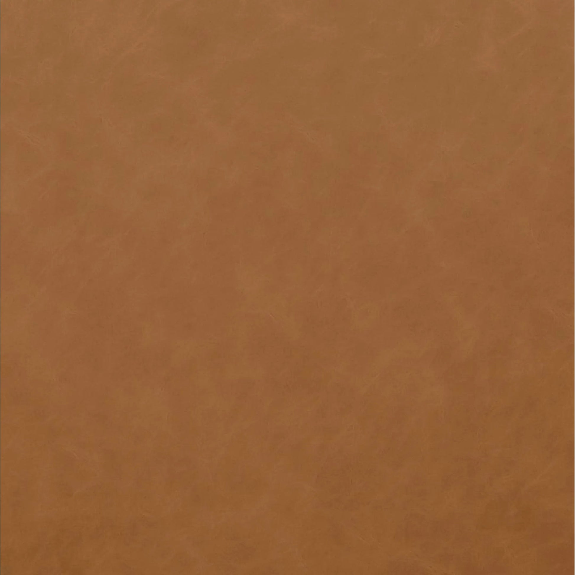 Odessa Vegan Leather Dining Chair by TOV Furniture. Made from faux leather, wood in a transitional style.