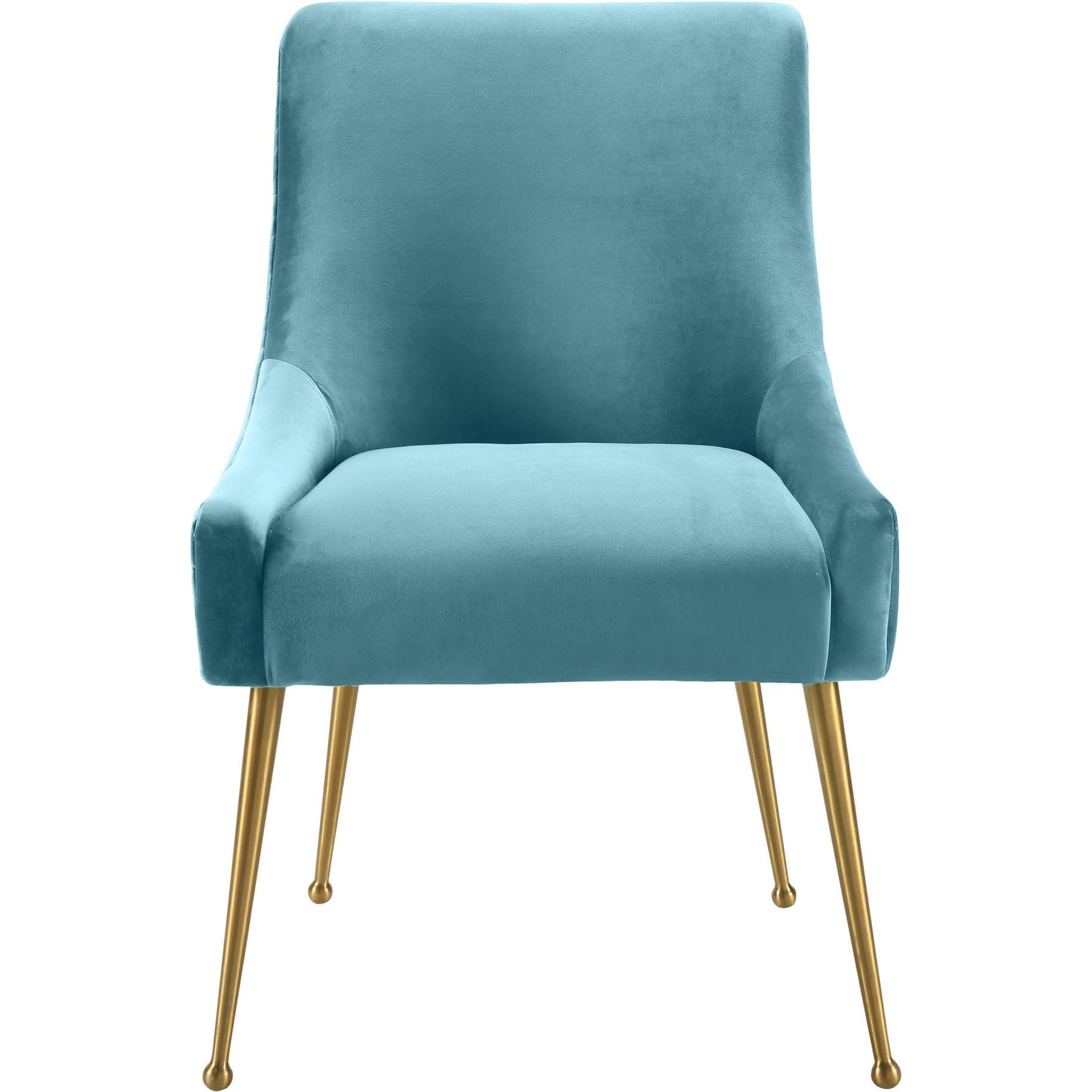 Beatrix Side Chair by TOV Furniture. Made from velvet in a modern style.