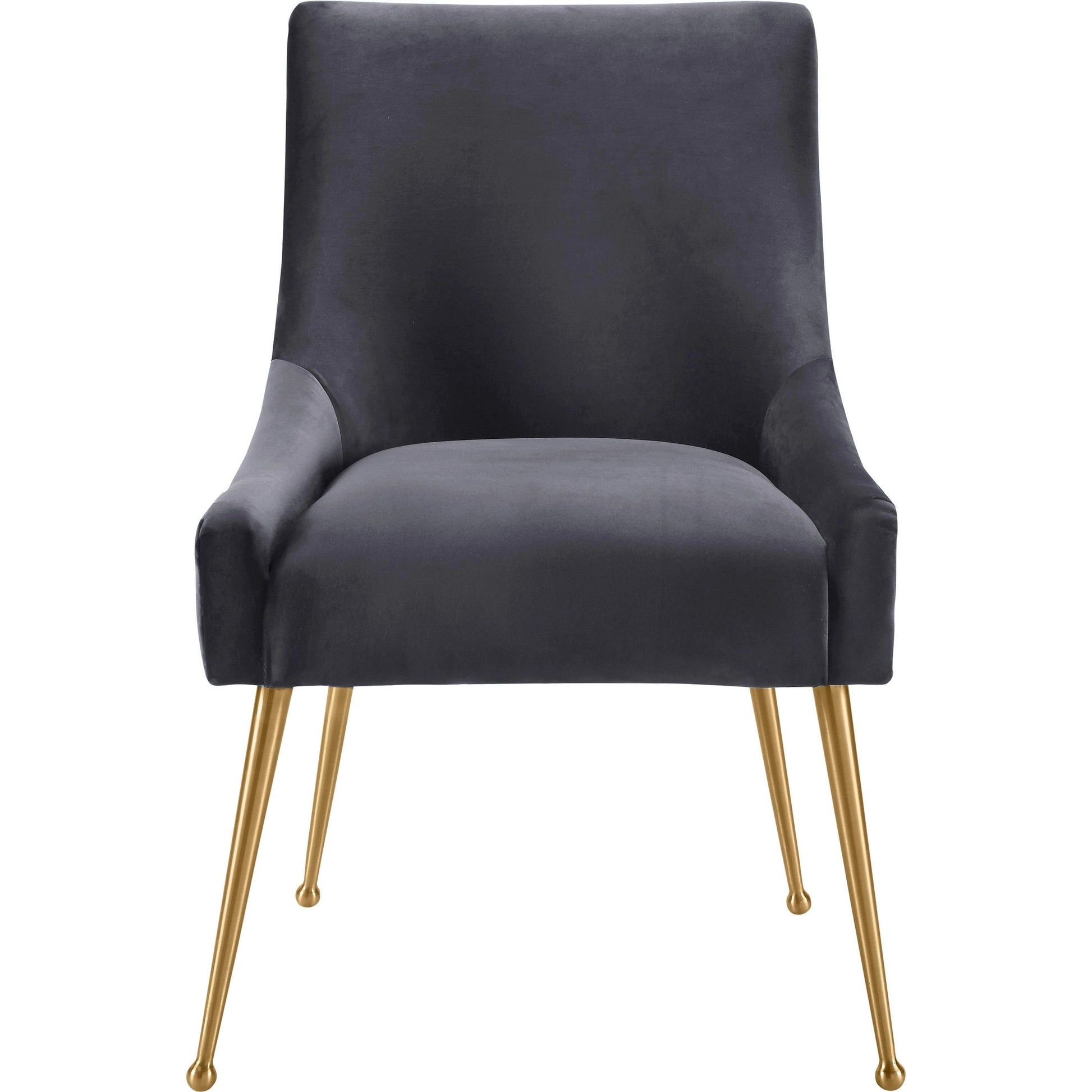 Beatrix Side Chair by TOV Furniture. Made from velvet in a modern style.