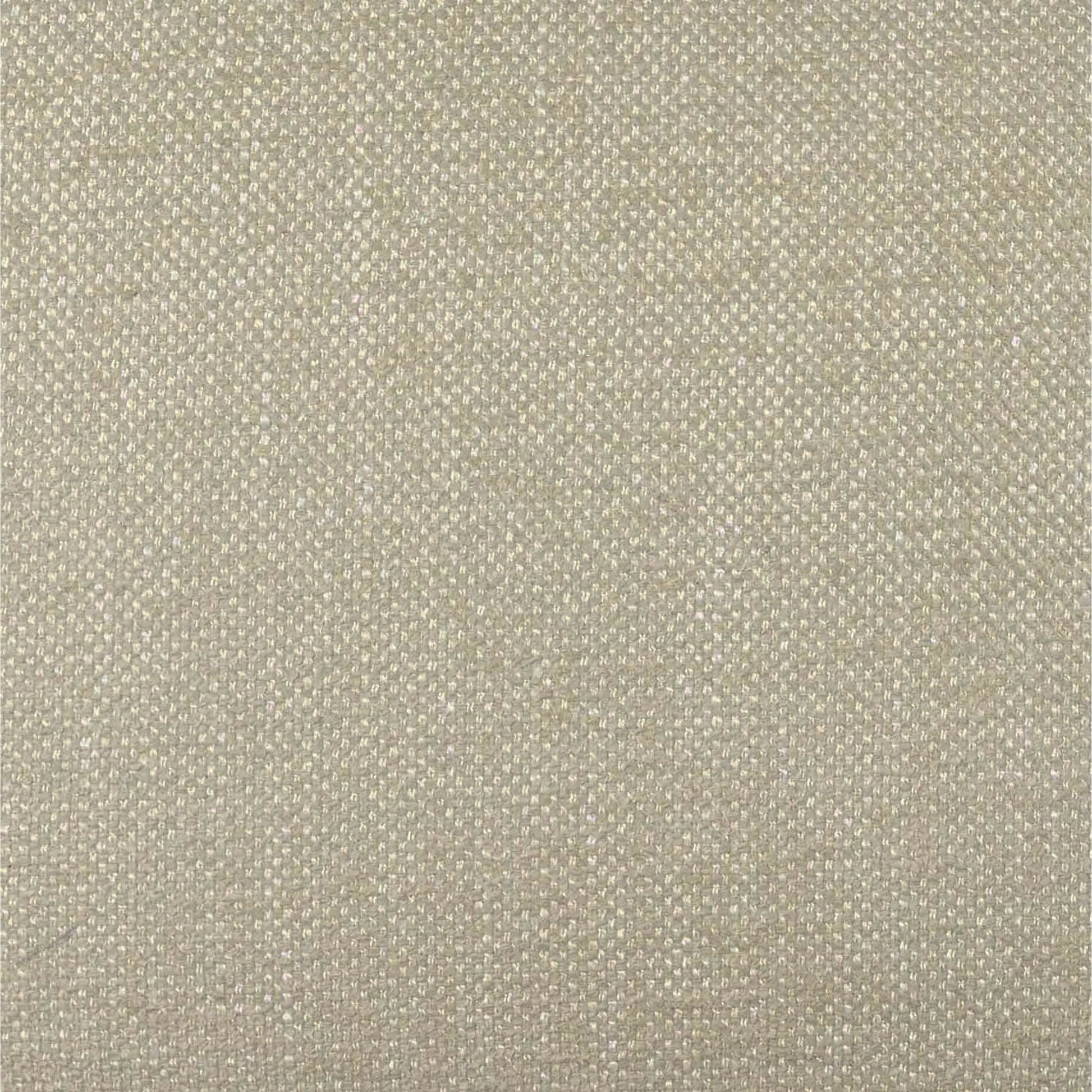 Tiara Performance Basketweave Fabric Dining Chair by TOV Furniture. Made from fabric, plywood, wood in a traditional style.