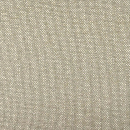 Tiara Performance Basketweave Fabric Dining Chair by TOV Furniture. Made from fabric, plywood, wood in a traditional style.