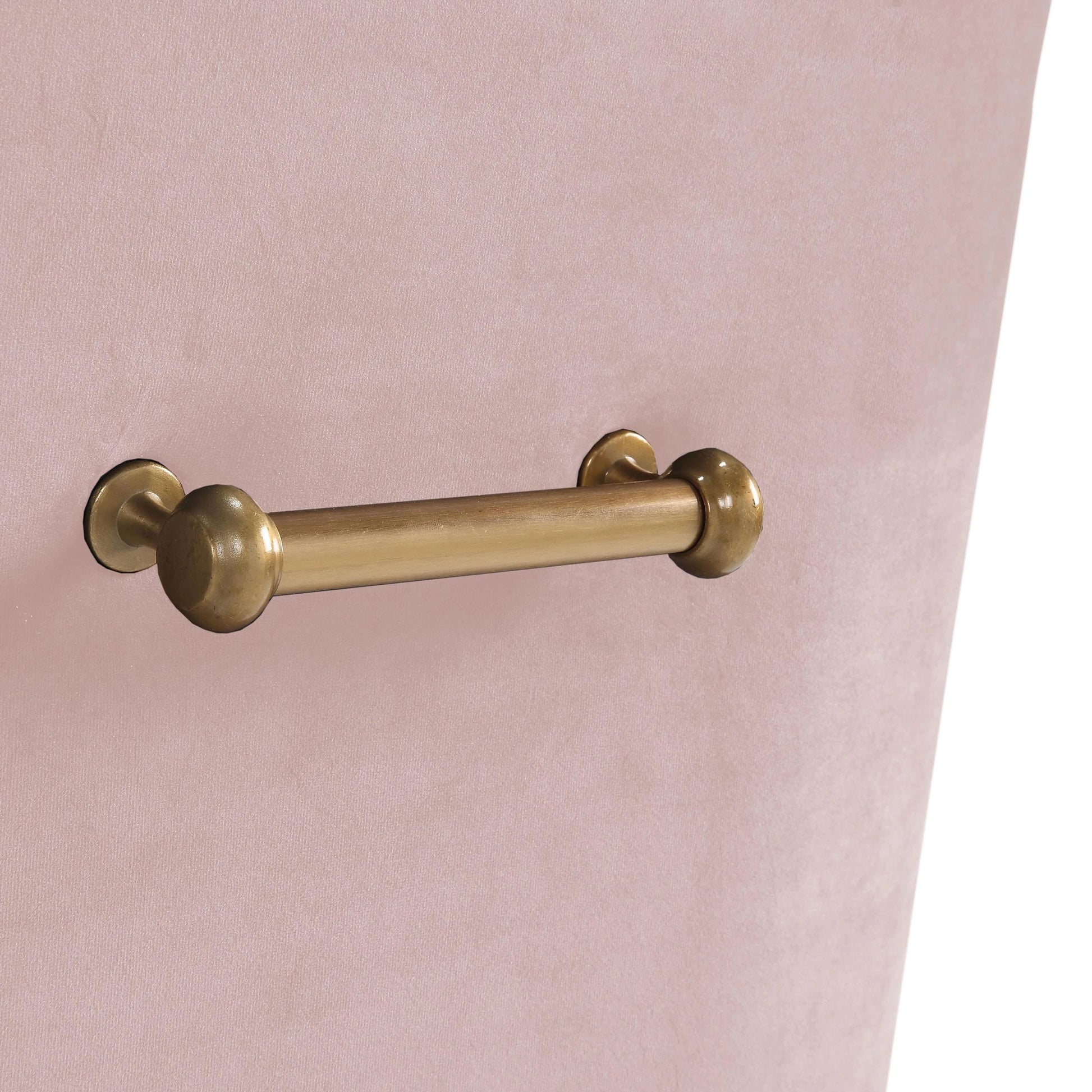 Beatrix Side Chair by TOV Furniture. Made from velvet in a modern style.