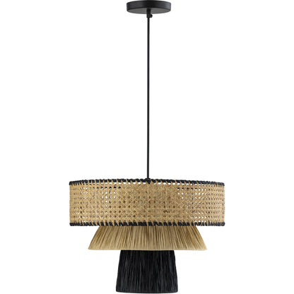 Rylie Pendant by TOV Furniture in black,natural. Made from unique in a coastal style.