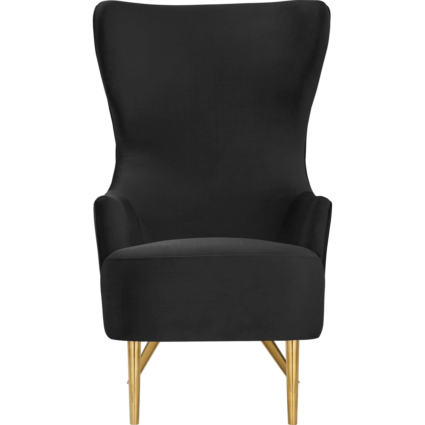 002 SI-1787178 | Additional Silo | Julia Velvet Wingback Chair by TOV Furniture in black. Made from velvet, plywood, stainless steel in a transitional style.