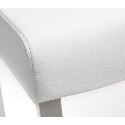 Denmark Steel Counter Stool (Set of 2) by TOV Furniture. Made from stainless steel, eco leather in a modern style.