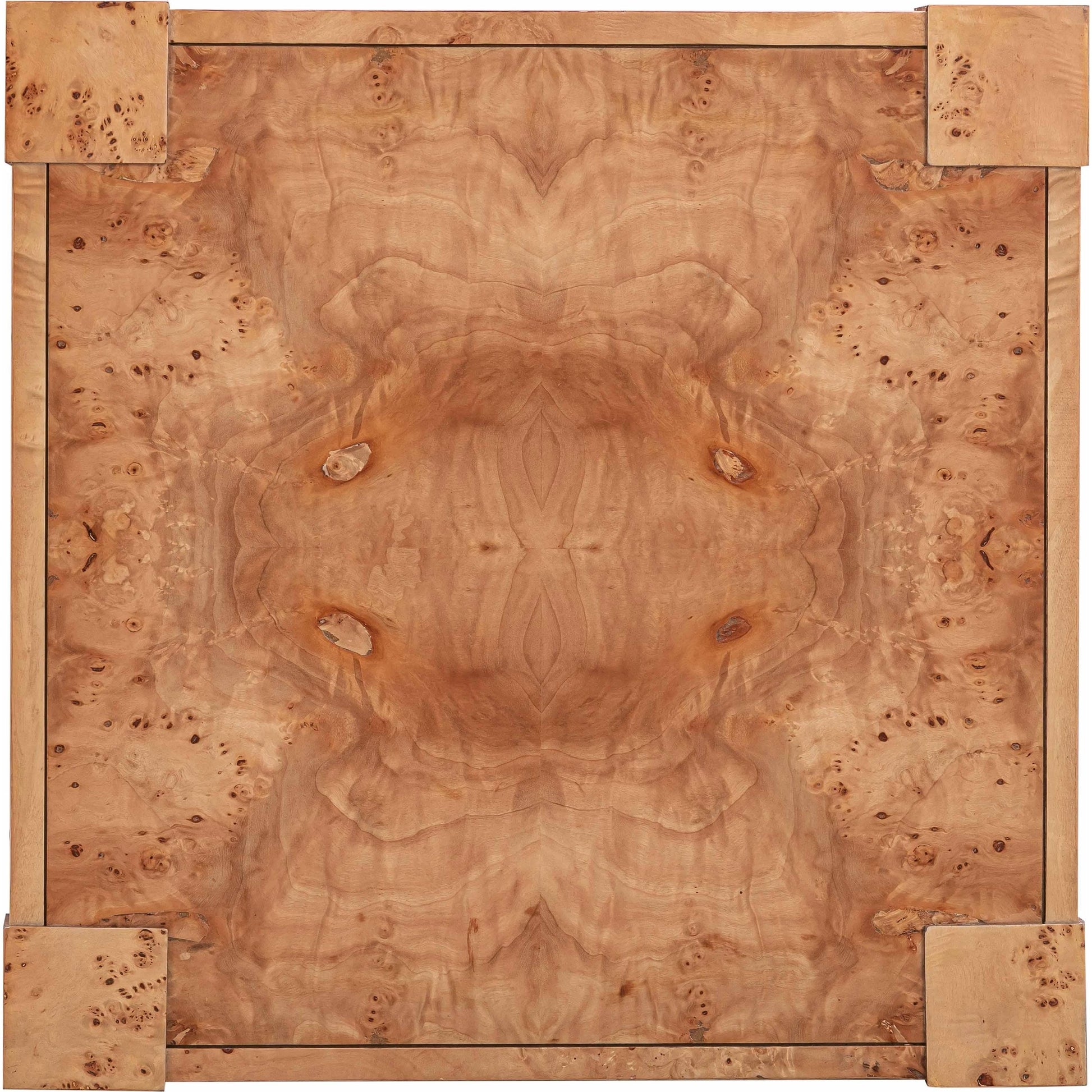 Brandyss Burl End Table by TOV Furniture. Made from unique in a modern style.