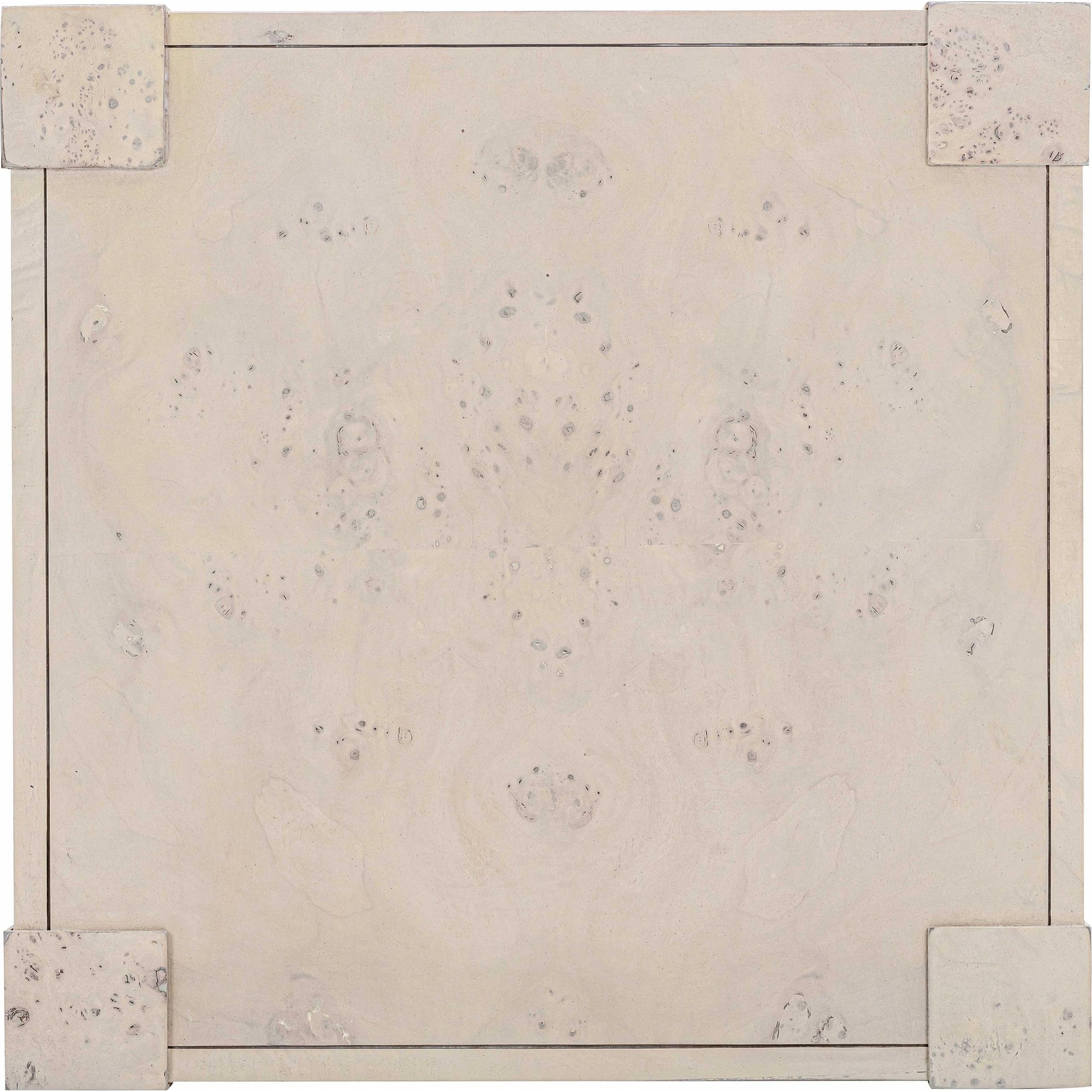 Brandyss Burl End Table by TOV Furniture. Made from unique in a modern style.