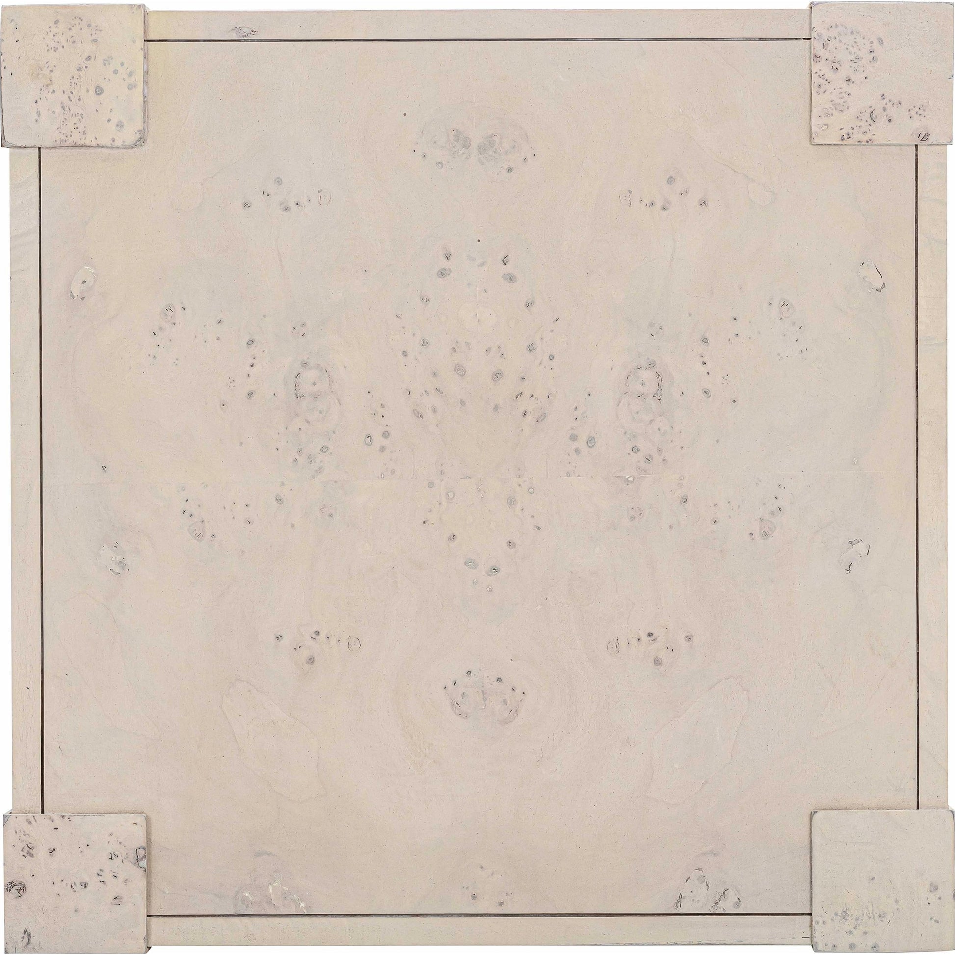 Brandyss Burl End Table by TOV Furniture. Made from unique in a modern style.