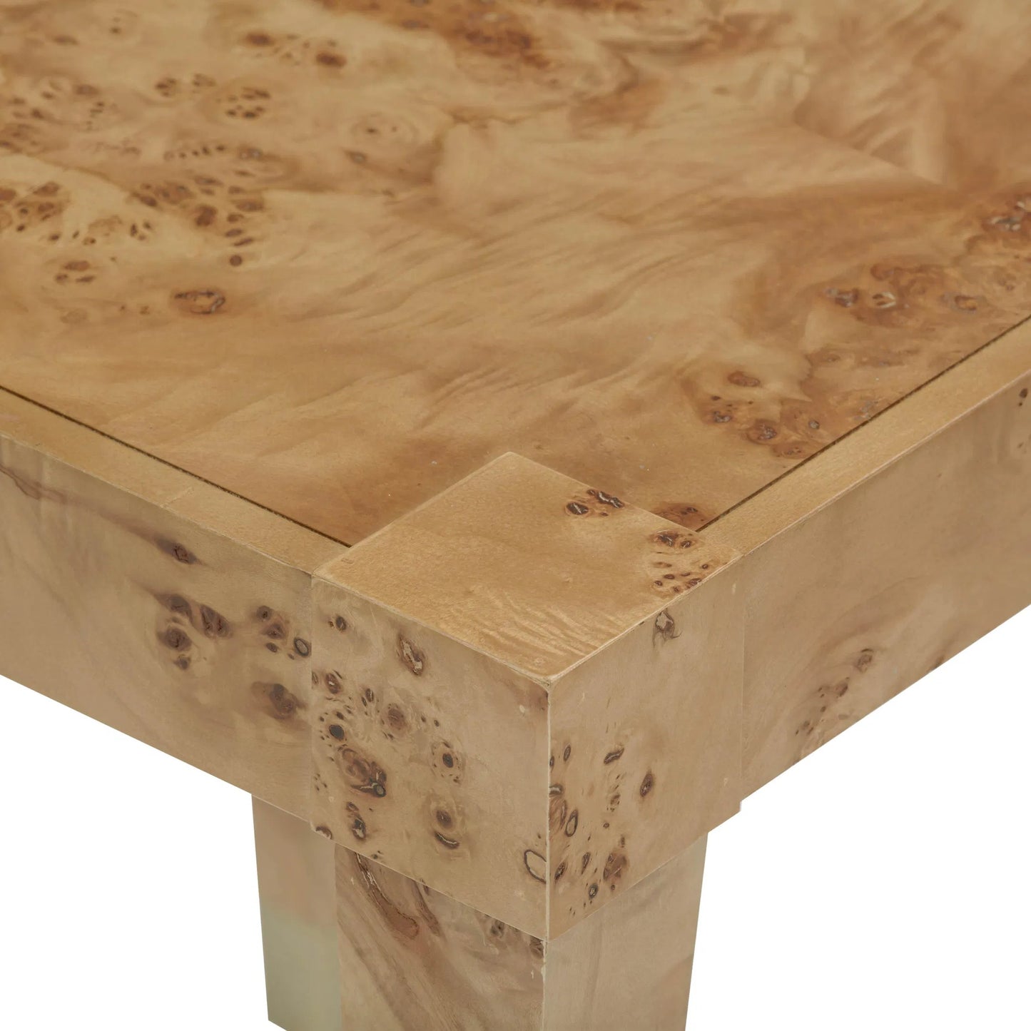 016 SI-2356268 | Closeup | Brandyss Burl End Table by TOV Furniture. Made from unique in a modern style.