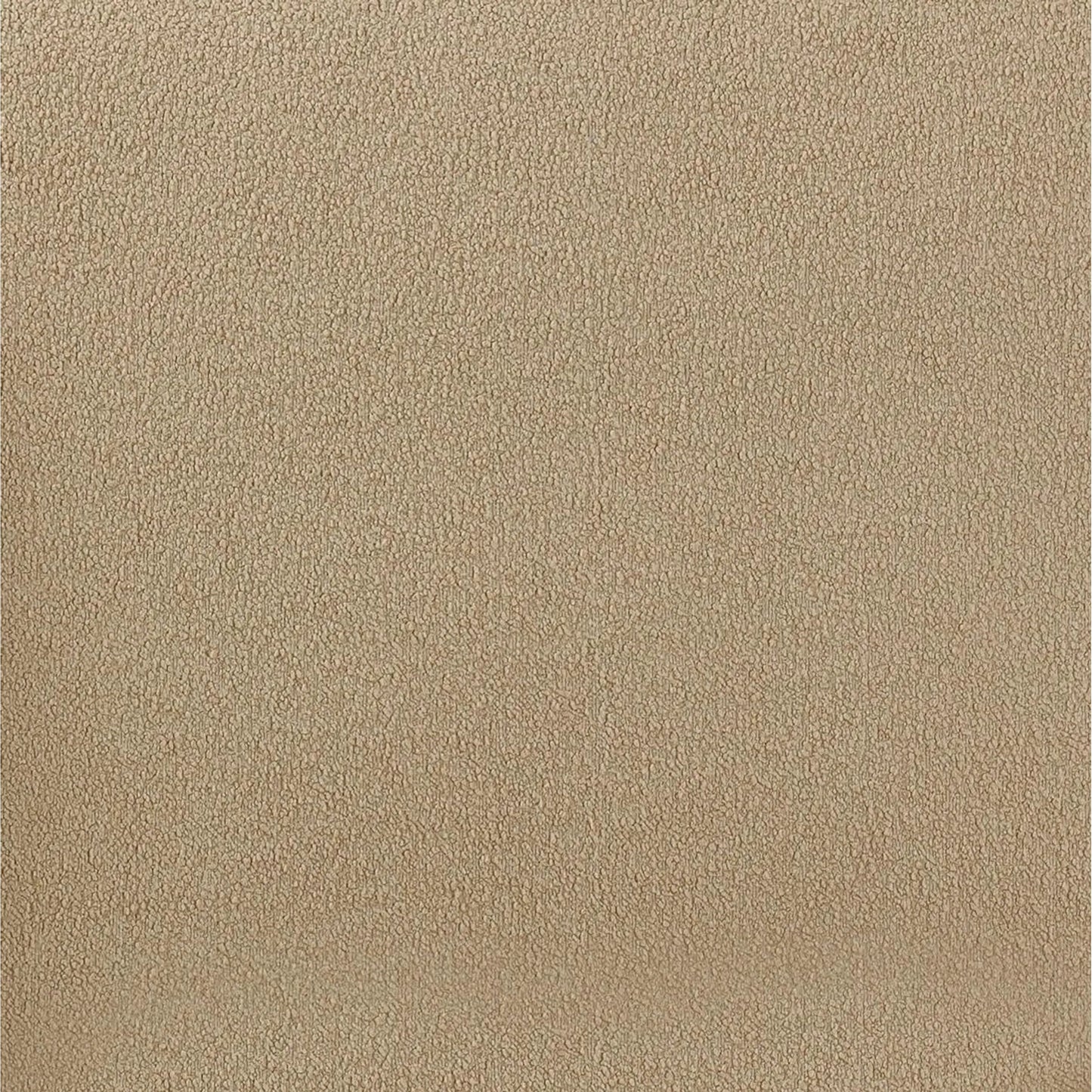 007 SI-2248436 | Closeup | Rachelle Boucle Lounge Chair by TOV Furniture in tan. Made from boucle, plywood in a transitional style.