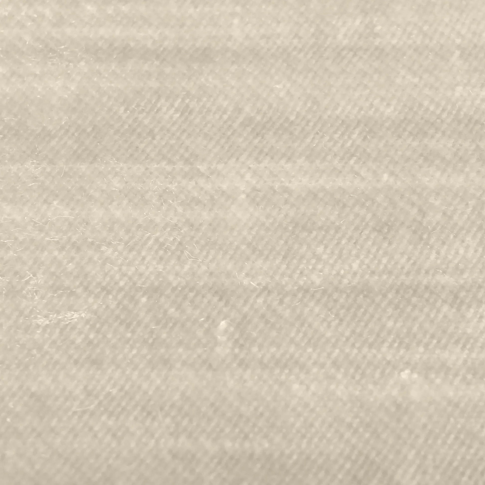 Austin Velvet Chair by TOV Furniture in champagne. Made from pine, stainless steel, velvet in a modern style.