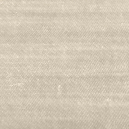 Austin Velvet Chair by TOV Furniture in champagne. Made from pine, stainless steel, velvet in a modern style.