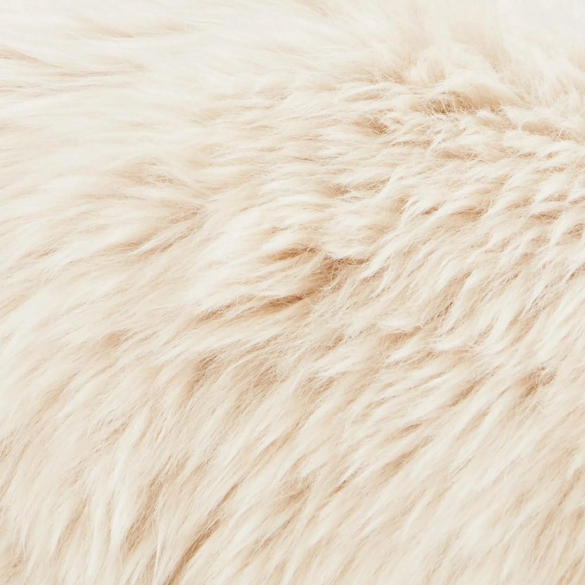 Kimi Genuine Sheepskin Chair by TOV Furniture. Made from iron, sheepskin, wood in a modern style.