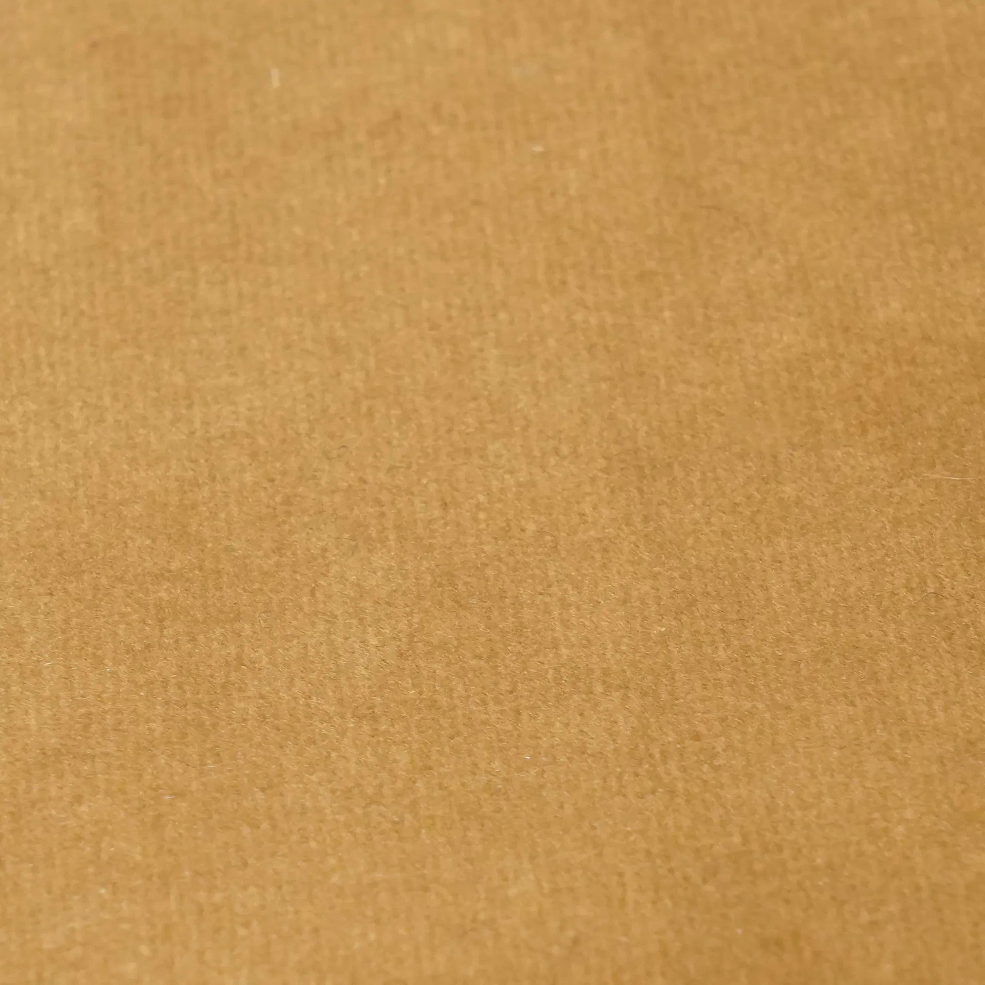 Kiki Velvet Accent Chair by TOV Furniture in blue. Made from pine, velvet in a modern style.